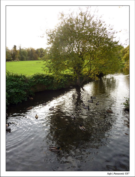 2010 - 10 - Stamford 22